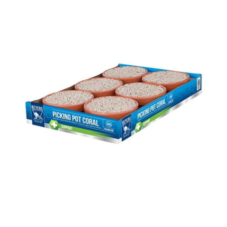 BEYERS PICKING POT CORAL 5+1 / KAMIEŃ Z ALGAMI BIAŁY