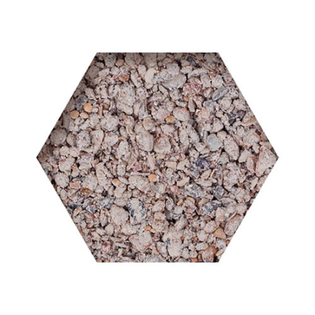 BEYERS PICKING POT CORAL 5+1 / KAMIEŃ Z ALGAMI BIAŁY