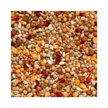 BEYERS GALAXY BREEDING 20 KG / HODOWLANA