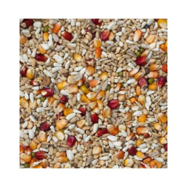 BEYERS GALAXY SPORT LIGHT 20KG / LEKKOSTRAWNA