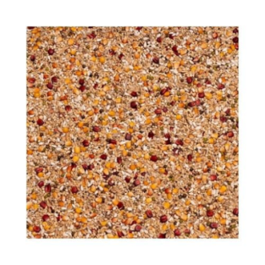 BEYERS GALAXY SPORT LIGHT 20KG / LEKKOSTRAWNA