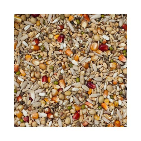 BEYERS GALAXY SPORT ENERGY 20 KG / ENERGETYCZNA