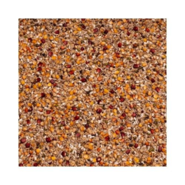 BEYERS GALAXY SPORT ENERGY 20 KG / ENERGETYCZNA