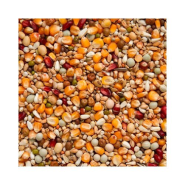 BEYERS GALAXY LONG DISTANCE TT 20KG / DŁUGIE LOTY POW. 300KM