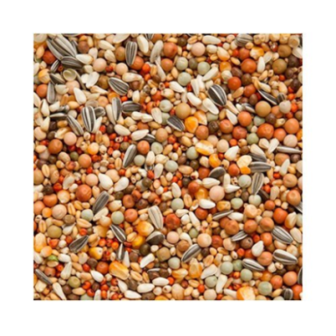 BEYERS OLYMPIA 49 - BREEDING  YOUNGSTERS + SMALL MAIZE 25KG/ Z MAŁĄ KUKURYDZĄ