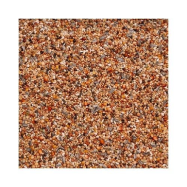 BEYERS OLYMPIA 49 - BREEDING  YOUNGSTERS + SMALL MAIZE 25KG/ Z MAŁĄ KUKURYDZĄ