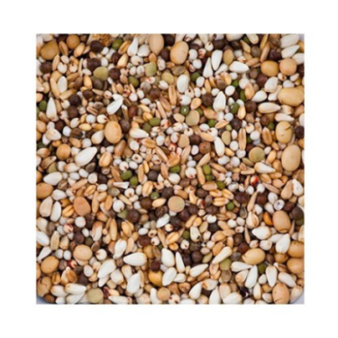 BEYERS OLYMPIA 51 BREEDING  RACING FIRST CLASS 20KG / BEZ GROCHU I KUKURYDZY