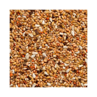 BEYERS ENZYMIX 7/33 MS SUPER DEPURATIVE 20 KG / OCZYSZCZAJĄCA Z ENZYMAMI