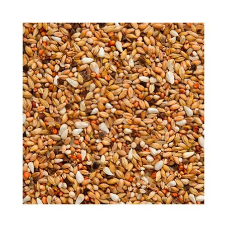 BEYERS ENZYMIX 7/33 MS SUPER DEPURATIVE 20 KG / OCZYSZCZAJĄCA Z ENZYMAMI