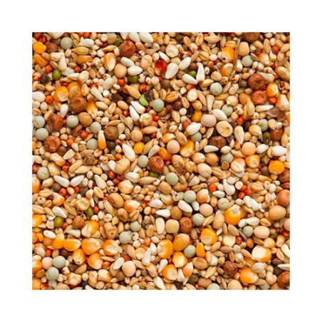 BEYERS ENZYMIX 7/43 MS BUILD UP EXTRA 20KG / LOTOWA