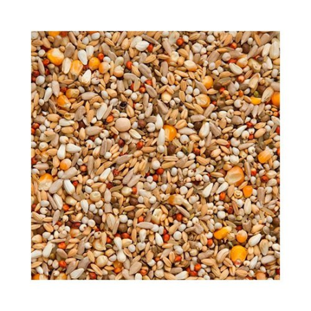 BEYERS ENZIMIX 7/47 MS ENERGY 20KG / ENERGETYCZNA