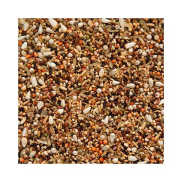 BEYERS ENZYMIX 7/57 MS CONDITION SEED FINE 20KG / OLEISTA Z ENZYMAMI