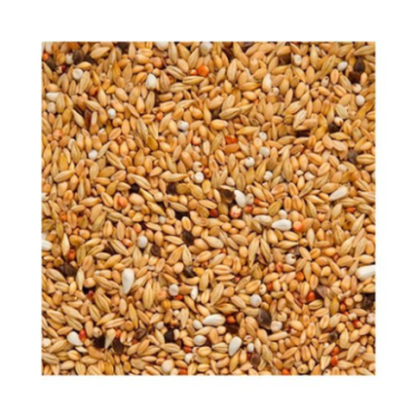 BEYERS ORIGINAL SUPER DEPURATIVE 25KG / LEKKOSTRAWNA OCZYSZCZAJĄCA