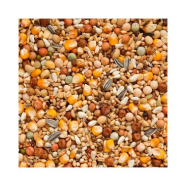 BEYERS ORIGINAL ENERGY SOYA 25KG / WYSOKOENERGETYCZNA