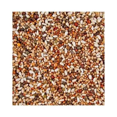 DN DOVIX TURTEL DOVES 20KG - 32 GOŁĘBIE OZDOBNE