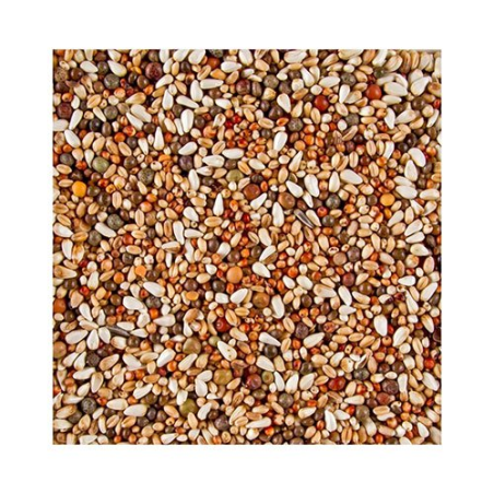 DN DOVIX TURTEL DOVES 20KG - 32 GOŁĘBIE OZDOBNE