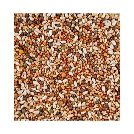 DN DOVIX SHORT BEAKS 20 KG / KRÓTKODZIOBY