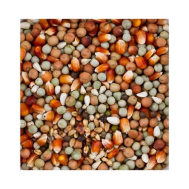 DN DOVIX SMALL MAIZE 20 KG / GOŁĘBIE OZD.Z MAŁĄ KUKURYDZĄ