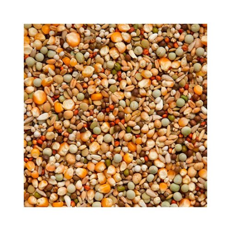 BEYERS PREMIUM BRILLANT 20 KG / MIESZANKA WYSOKO TŁUSZCZOWA