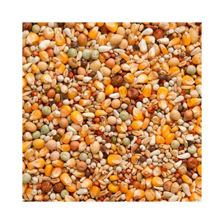 BEYERS PREMIUM SUPER WIDOWHOOD 20KG / MIESZANKA DLA WDOWCA