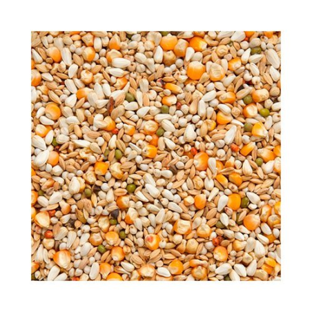 BEYERS PREMIUM VANDENABEELE 20KG / NISKOBIAŁKOWA