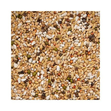 BEYERS PREMIUM VERKERK LIGHT 20KG / NISKOTŁUSZCZOWA