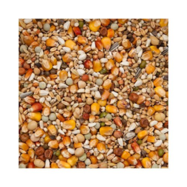 BEYERS PREMIUM VERKERK SPORT 20KG / WYSOKOENERGETYCZNA 32 SKŁADNIKOWA