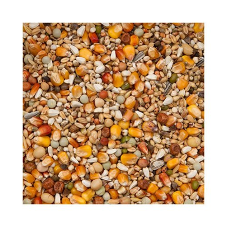 BEYERS PREMIUM VERKERK SPORT 20KG / WYSOKOENERGETYCZNA 32 SKŁADNIKOWA