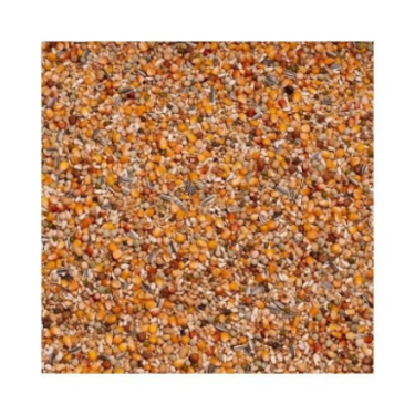 BEYERS PREMIUM VERKERK SPORT 20KG / WYSOKOENERGETYCZNA 32 SKŁADNIKOWA