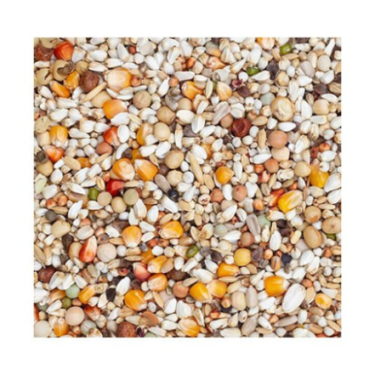 BEYERS PREMIUM YOUNGSTERS 20KG / MIESZANKA DLA MŁODYCH GOŁĘBI