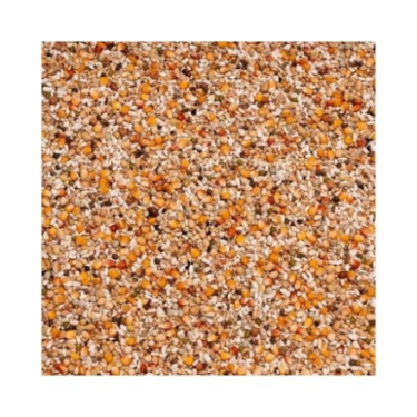 BEYERS PREMIUM YOUNGSTERS 20KG / MIESZANKA DLA MŁODYCH GOŁĘBI