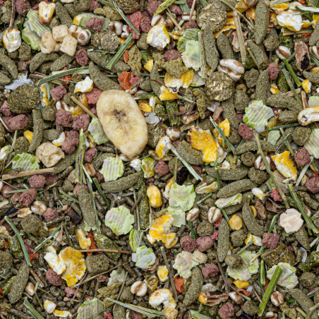 DN PREMIUM GUINEA PIGS 12,5KG / MIESZANKA DLA ŚWINEK MORSKICH