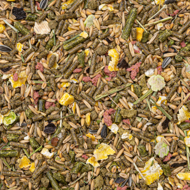 DN BASIC GUINEA PIGS 15 KG