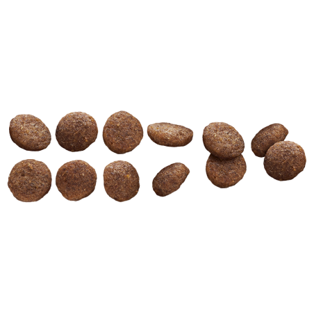 EP PUPPY LAMB  RICE 3KG(4) / WSZYSTKIE  RASY MŁODY PIES JAGNIĘCINA