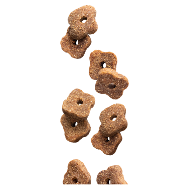 EP SENIOR CHICKEN  RICE 3KG(4) / WSZYSTKIE RASY STARSZY PIES KURCZAK