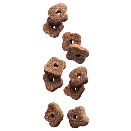 EP SENIOR LAMB  RICE 3KG(4) / WSZYSTKIE RASY STARSZY PIES JAGNIĘCINA