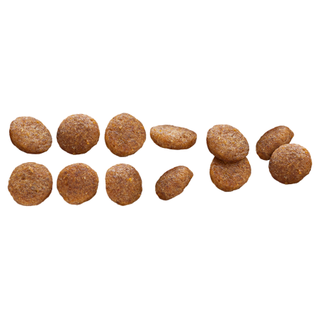 EP MEDIUM PUPPY CHICKEN  RICE 3KG(4) / ŚREDNIE RASY MŁODY PIES KURCZAK