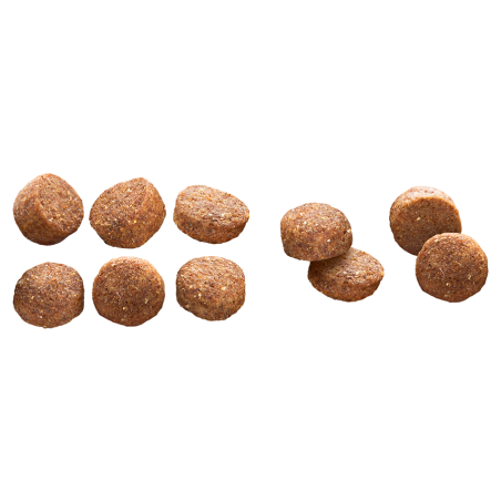 EP MEDIUM ADULT CHICKEN  RICE 3KG(4) / ŚREDNIE RASY DOROSŁY PIES KURCZAK