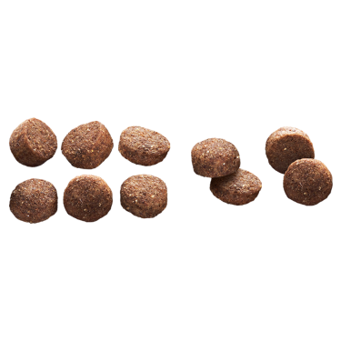 EP MEDIUM ADULT LAMB  RICE 3KG(4) / ŚREDNIE RASY DOROSŁY PIES JAGNIĘCINA