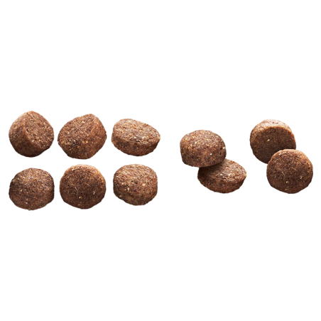 EP MEDIUM ADULT LAMB  RICE 3KG(4) / ŚREDNIE RASY DOROSŁY PIES JAGNIĘCINA