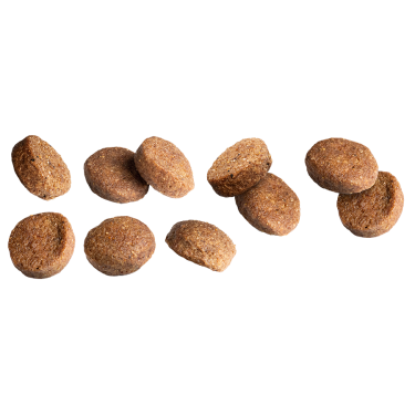 EP LARGE ADULT CHICKEN  RICE 3KG(4) / DUŻE RASY DOROSŁY PIES KURCZAK