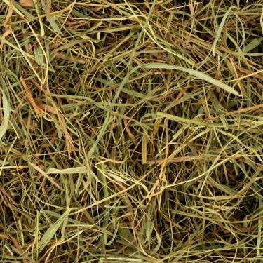 DN PREMIUM MEADOW HAY PRE-CUT 5KG (3) / SIANO ŁĄKOWE POCIĘTE PREMIUM
