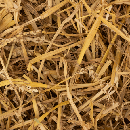 DN PREMIUM STRAW PRE-CUT 5KG (3) / SŁOMA CIĘTA PREMIUM