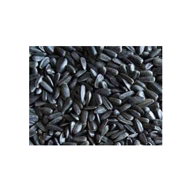 SŁONECZNIK CZARNY 20 kg