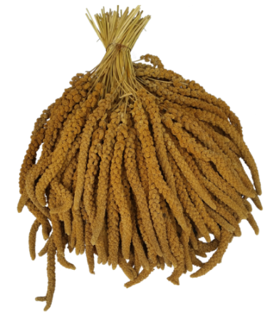 BEYERS PROSO ŻÓŁTE W KŁOSACH 25KG