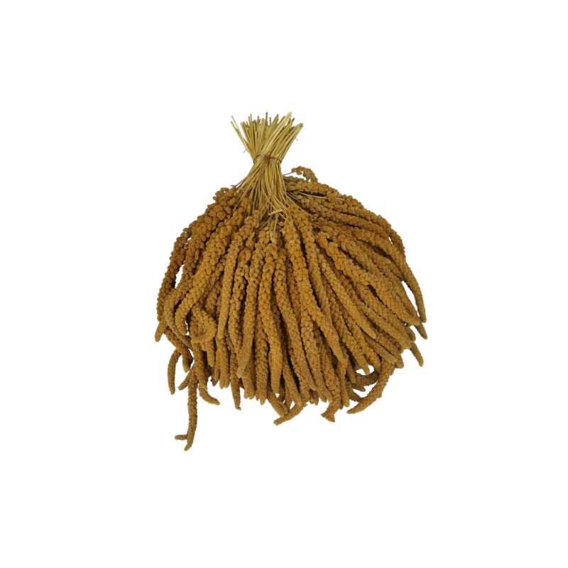 BEYERS PROSO ŻÓŁTE W KŁOSACH 25KG