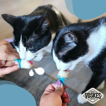 VOSKES ICE LOLLIES (12 SZT) / FOREMKA DO LODÓW DLA KOTÓW