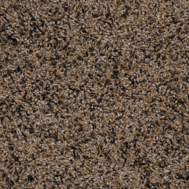 DN 44 - Siskins EXCLUSIVE 12,5 KG / CZYŻYK EXCLUSIVE