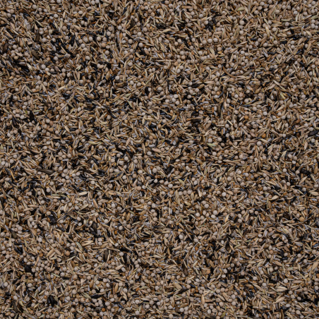 DN 44 - Siskins EXCLUSIVE 12,5 KG / CZYŻYK EXCLUSIVE