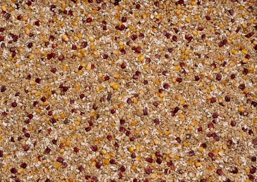 BEYERS ORIGINAL ENZYMIX RELAX 20KG / LEKKOSTRAWNA PO LOCIE